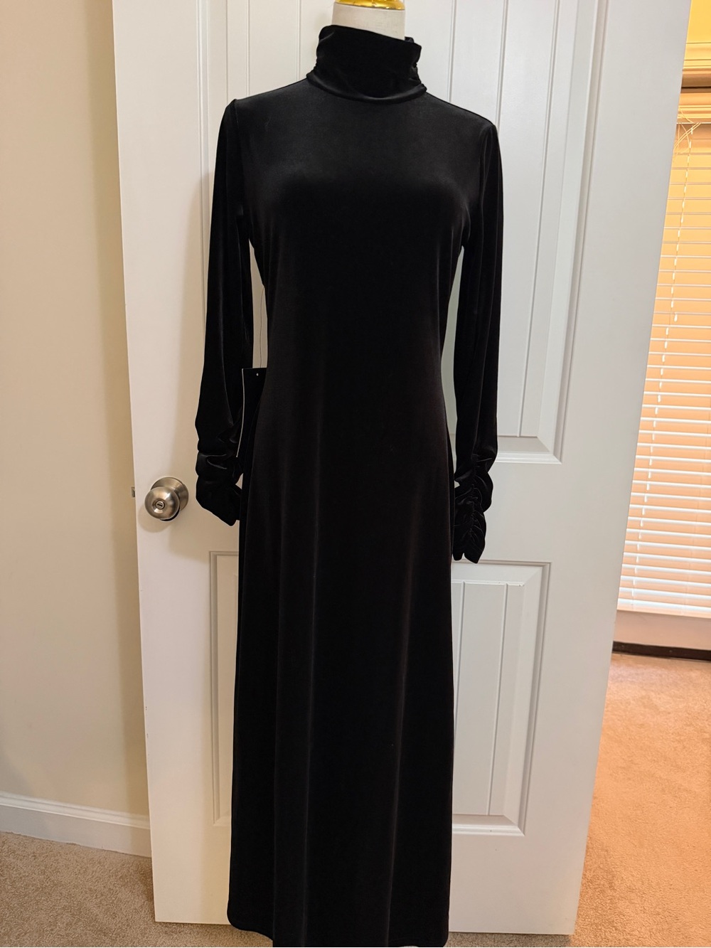 Pomander Place Velvet Ruched Turtleneck & Sleeves Maxi Dress Sz Small NWT
